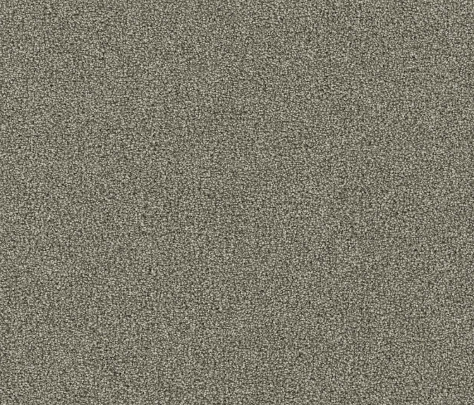 Boxwood II - Graceful