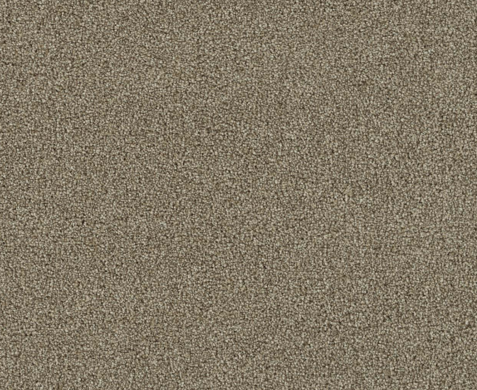 Boxwood II - Iced Coffee