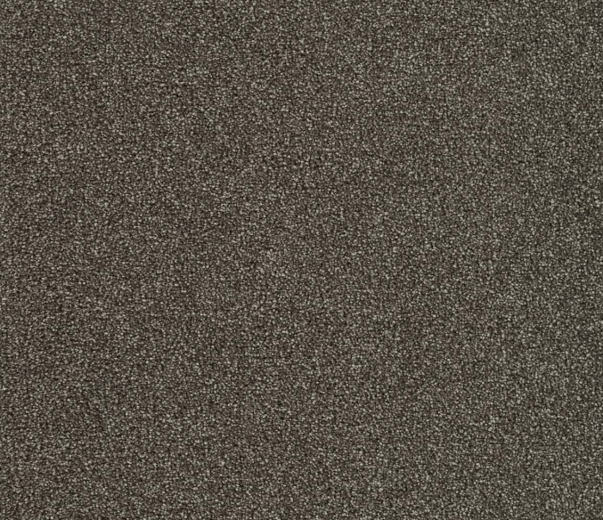 Boxwood II - Spicewood