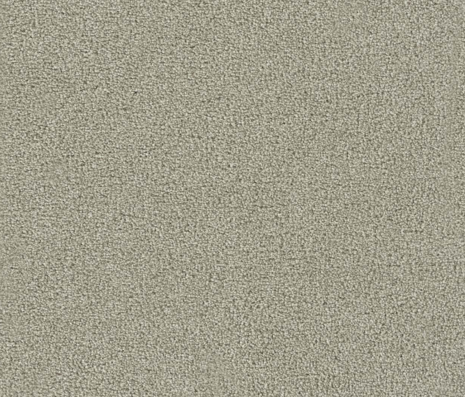Boxwood II - Moon Mist