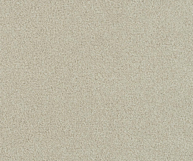 Boxwood II - Champagne Fizz
