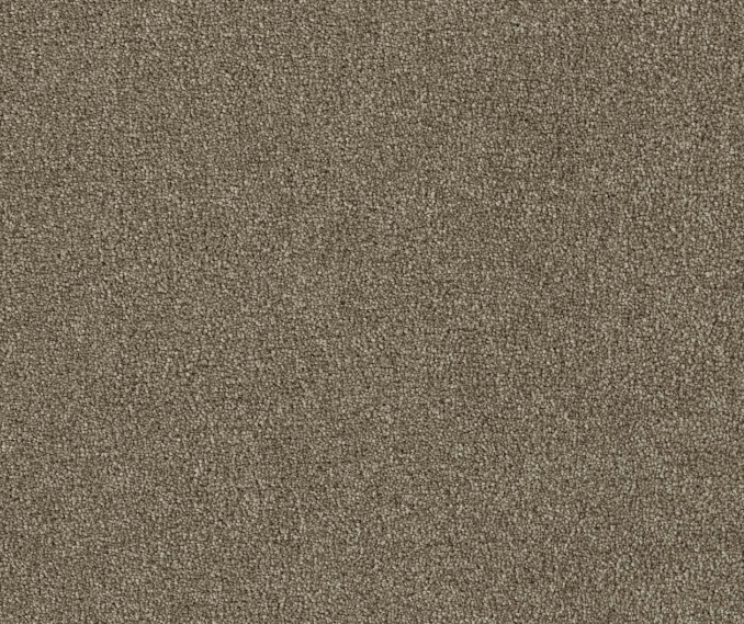 Boxwood II - Hazelnut