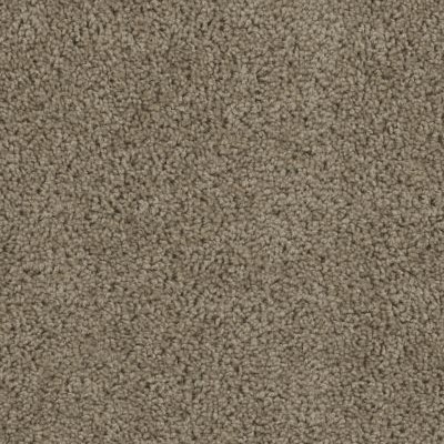 Activate - 510 Honey Beige