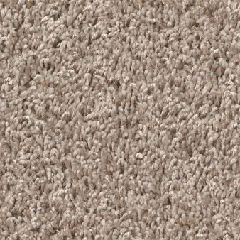Color Instinct - 00102 Sandstone