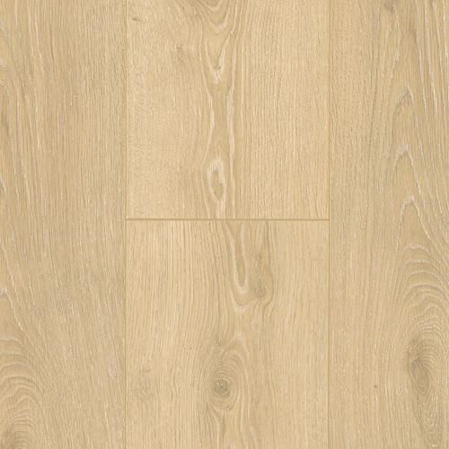 Timber Collective 7 1/2
