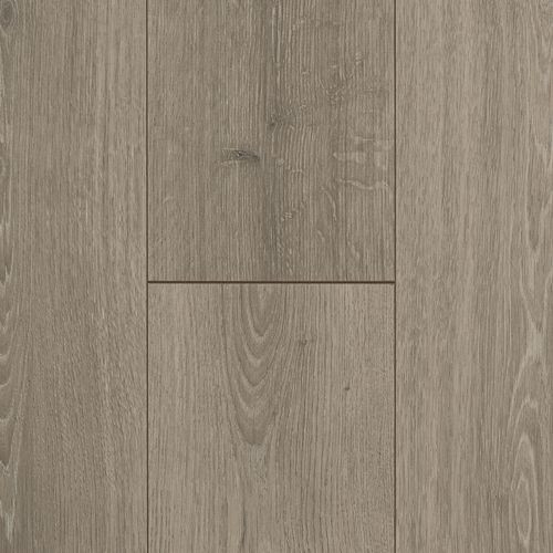 Timber Collective 7 1/2