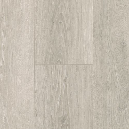 Timber Collective 7 1/2