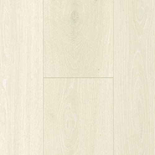 Timber Collective 7 1/2
