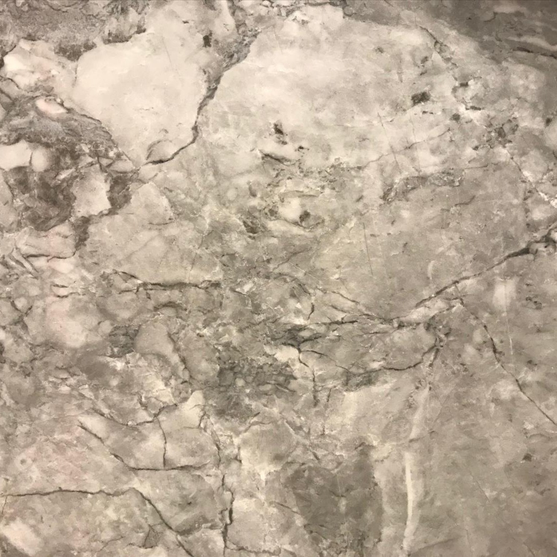 3cm Fin Dolomite - Arabescato